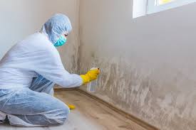 Best Mold Removal for HVAC Installations  in Beavercreek, OH